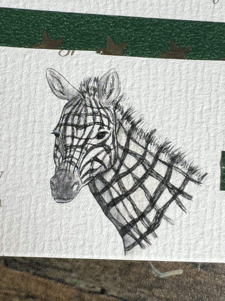 Zèbre à carreaux