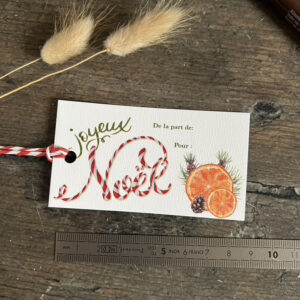 Lot de 8 étiquettes Cadeau de Noël – motif Oranges